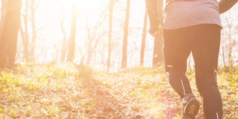 What Are the Best Ways to Maintain Full Body Fitness?